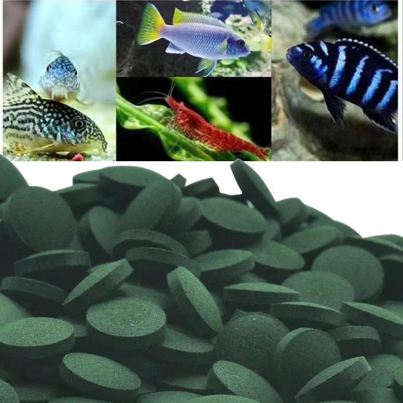 Spirulina Tablet Organic - 50/100/300/500 個スピルリナ錠剤螺旋状海藻濃縮物お気に入りのペットフード魚クリスタルレッドシュリンプ魚の餌水族館