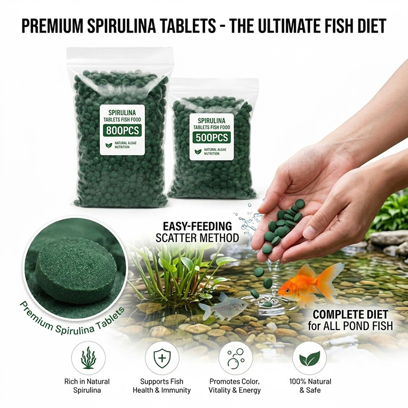 SIKEZHAN高純度スピルリナタブレット、スパイラル海藻栄 - Spirulina Tablet Organic のレビューと価格