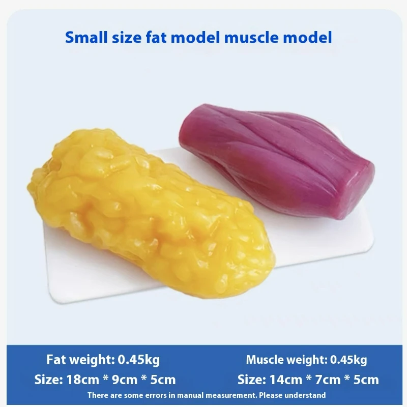 人間の筋肉と脂肪の模型 健康と減量のための栄養と科学 フィッ - Nutrition For Fitness のレビューと価格